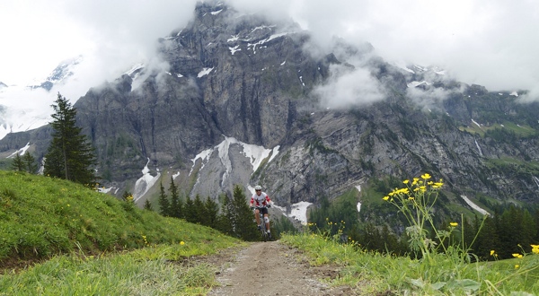 Nice trail