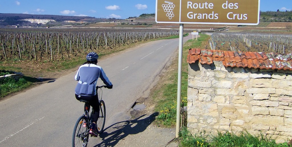 La Voie des Vignes