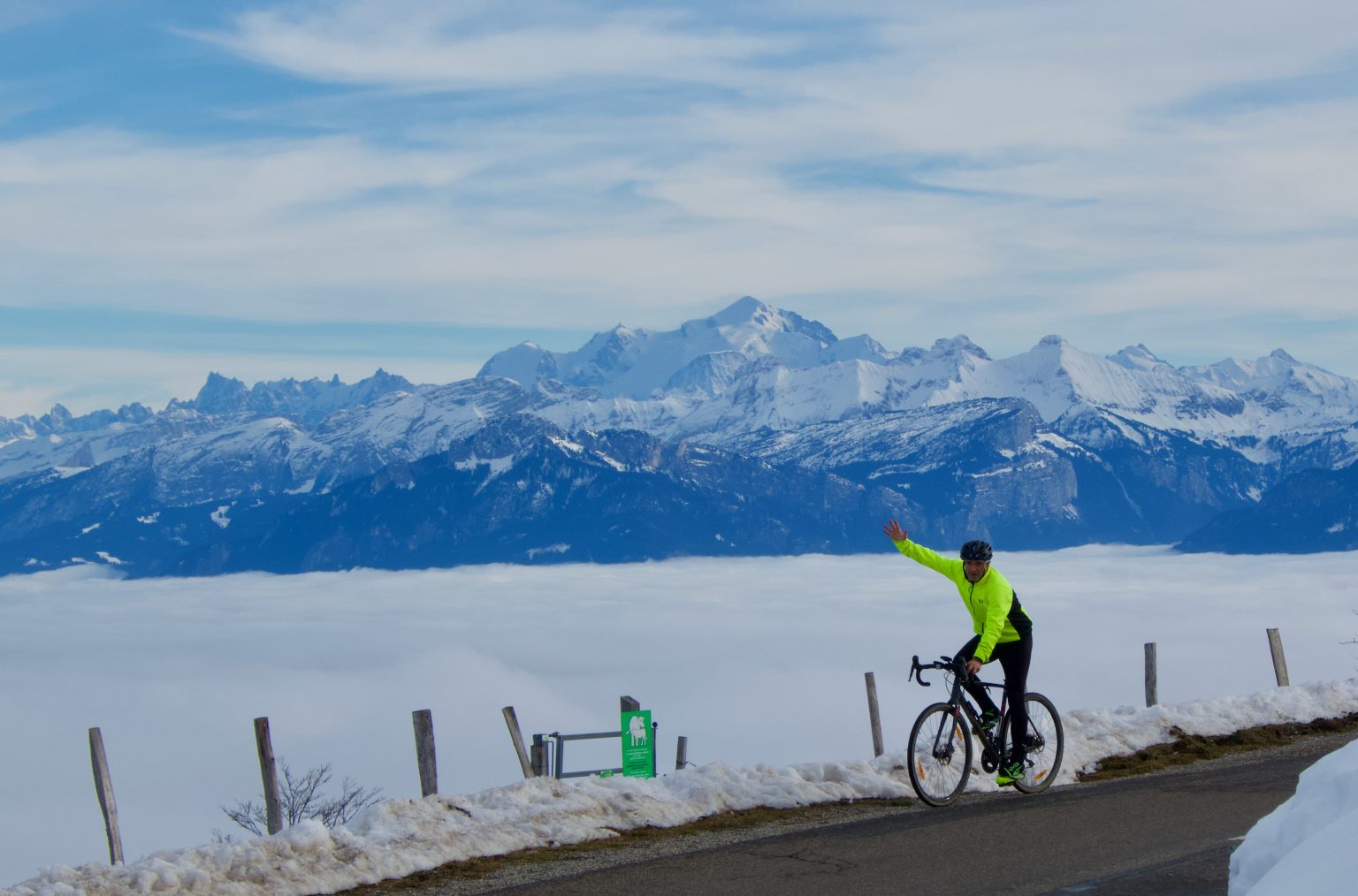 2022 Cycling and Cow Calendars