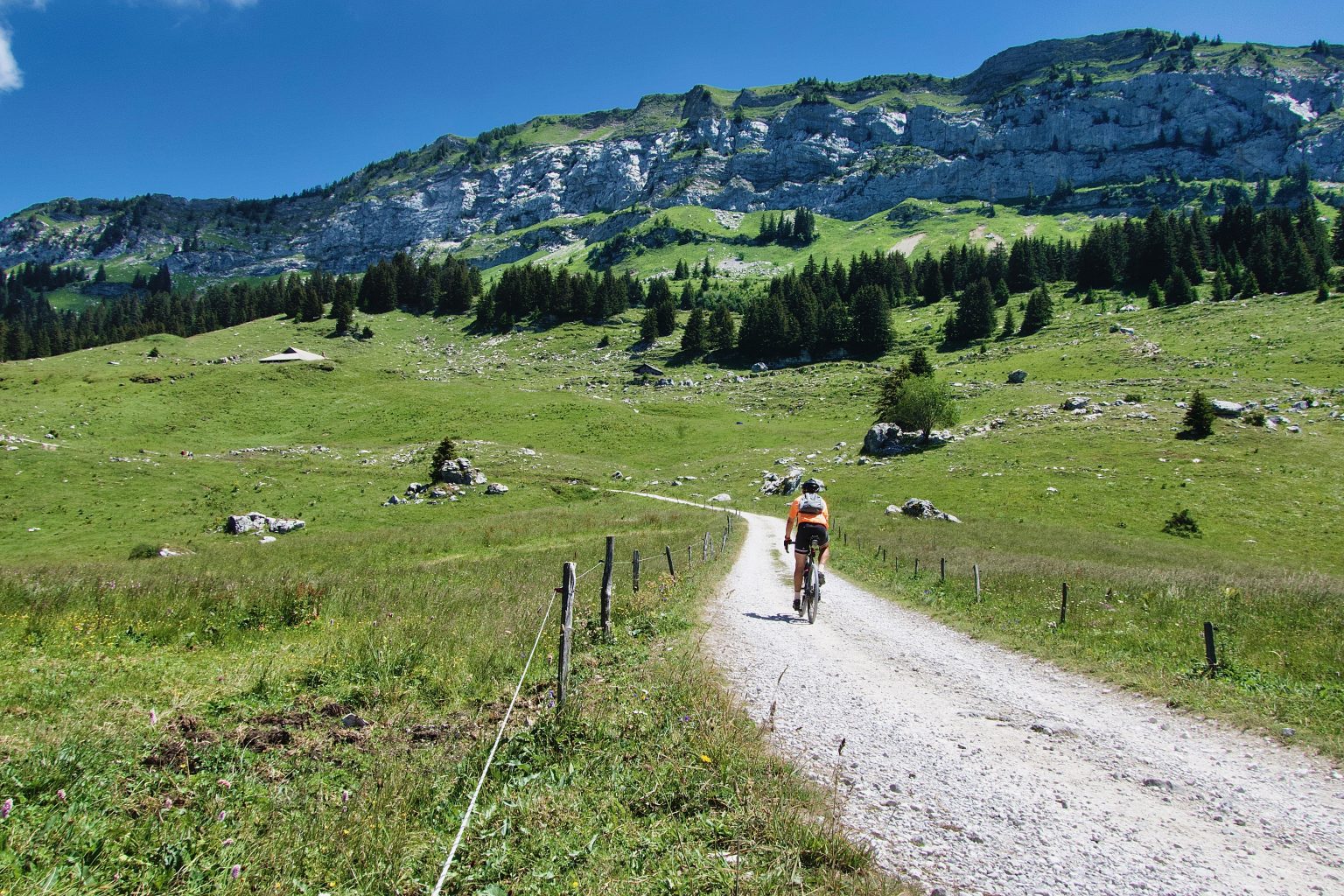 Plateau des Glières and Above