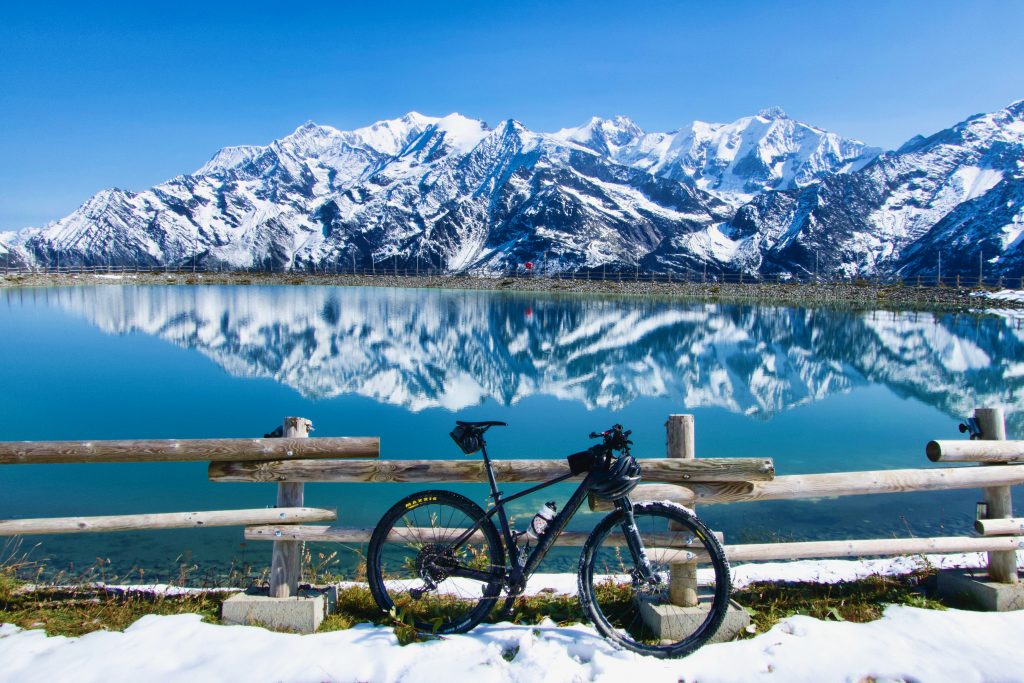 2021 Cycling and Cow Calendars
